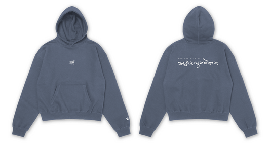 For the Sake of Akshar-Purushottam Logo Hoodie