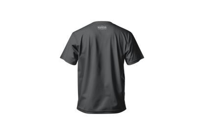 Paris Stripes T-shirt Grey