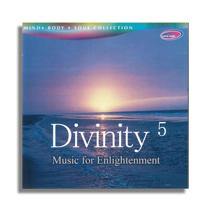 Divinity 5