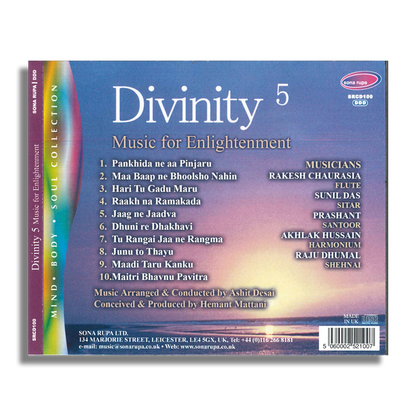 Divinity 5