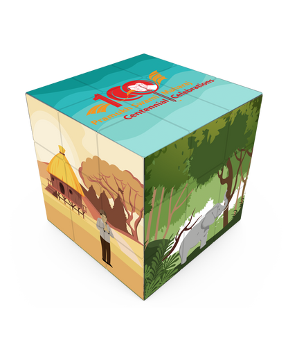 Island of Heroes Rubiks Cube